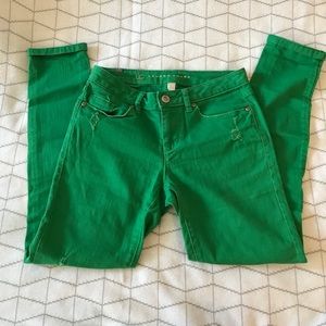 Lauren LC pants